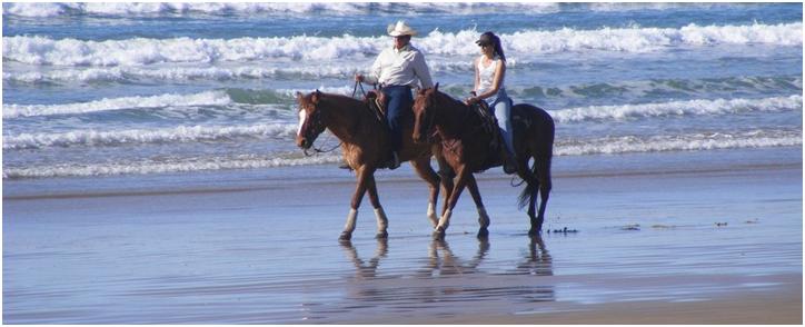 Horseback riding on the beach